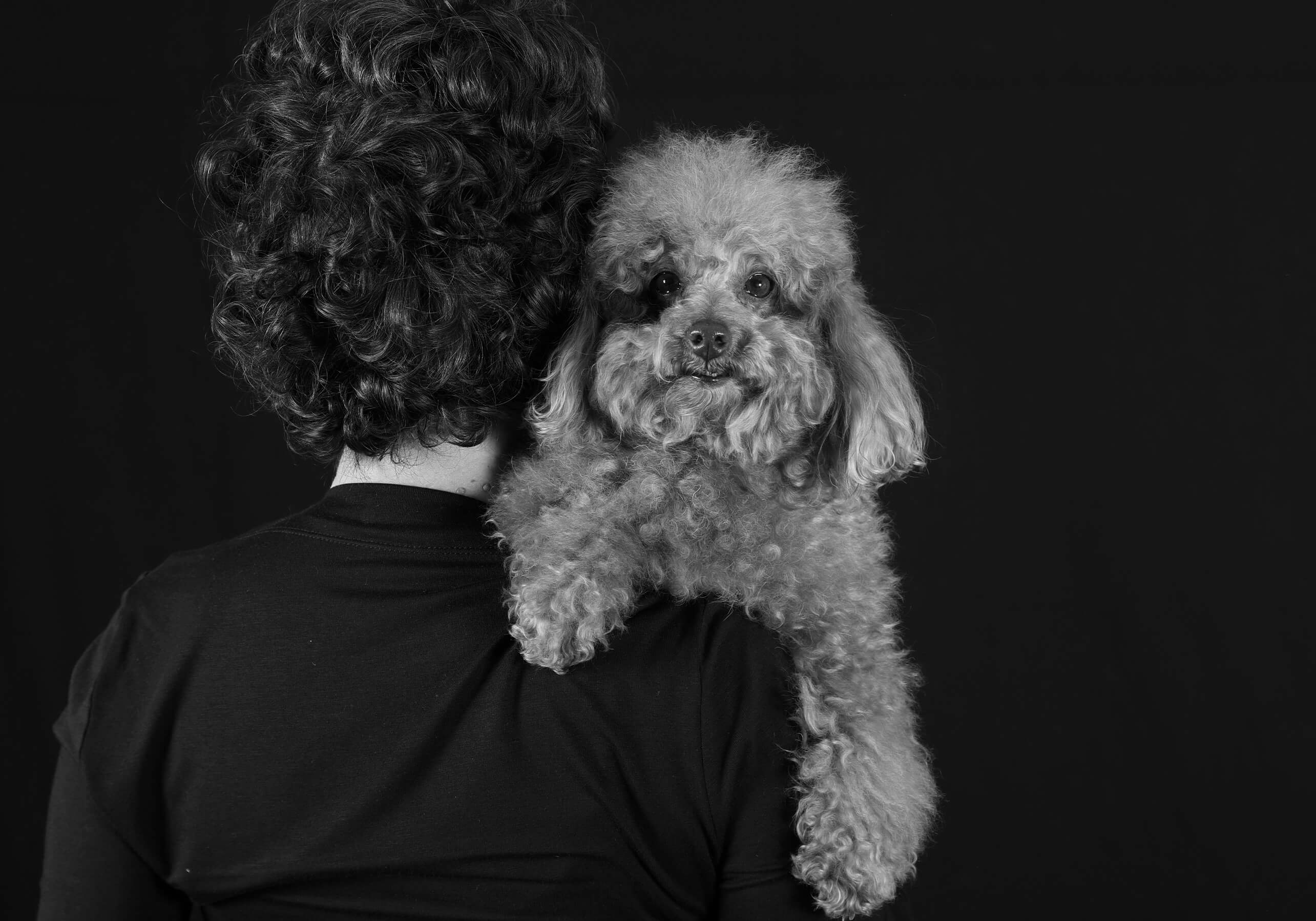<p>PET'S DAY<br>IL GIORNO DEDICATO AI TUOI COMPAGNI PELOSI</p> - immagine 3