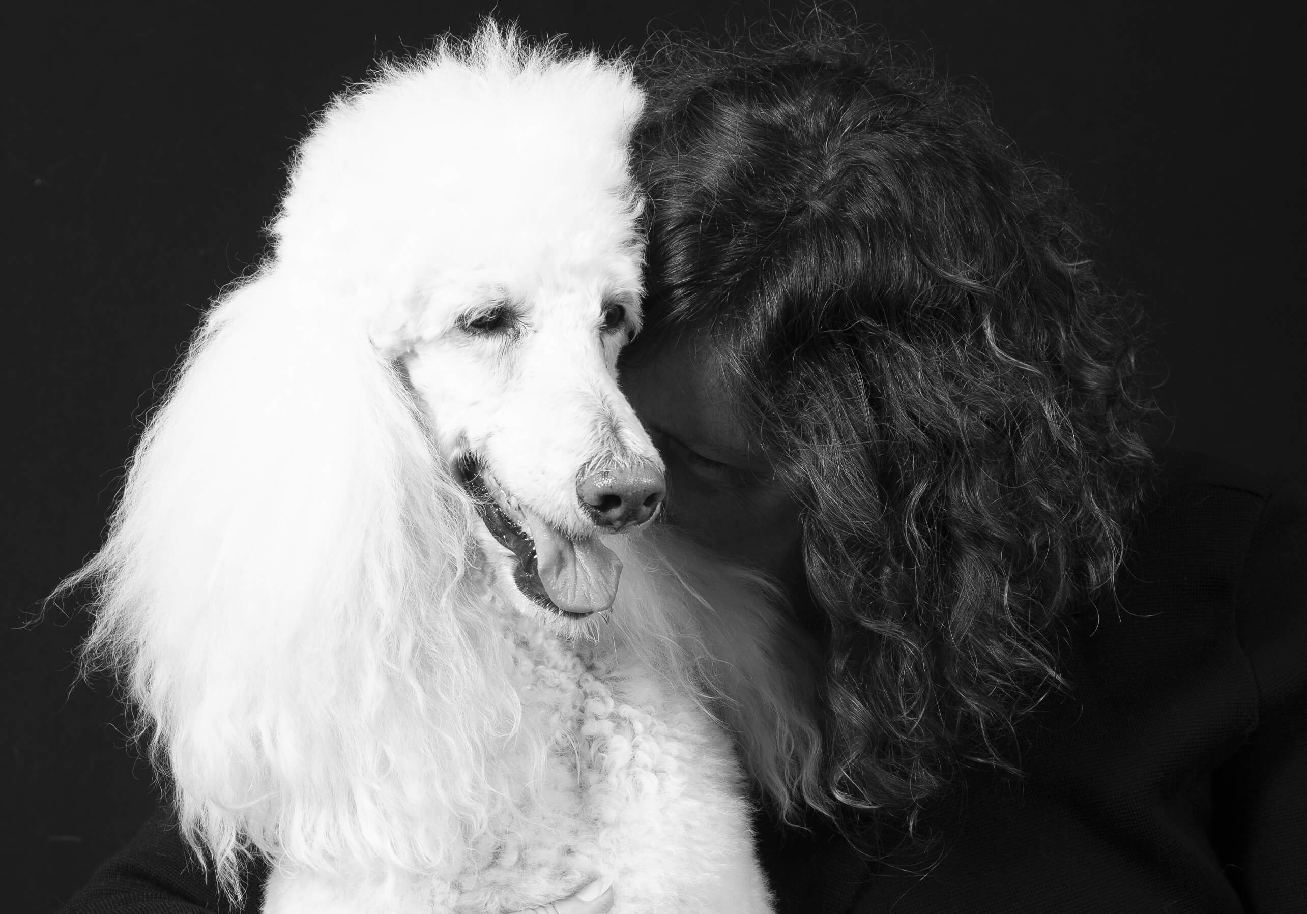 <p>PET'S DAY<br>IL GIORNO DEDICATO AI TUOI COMPAGNI PELOSI</p> - immagine 9