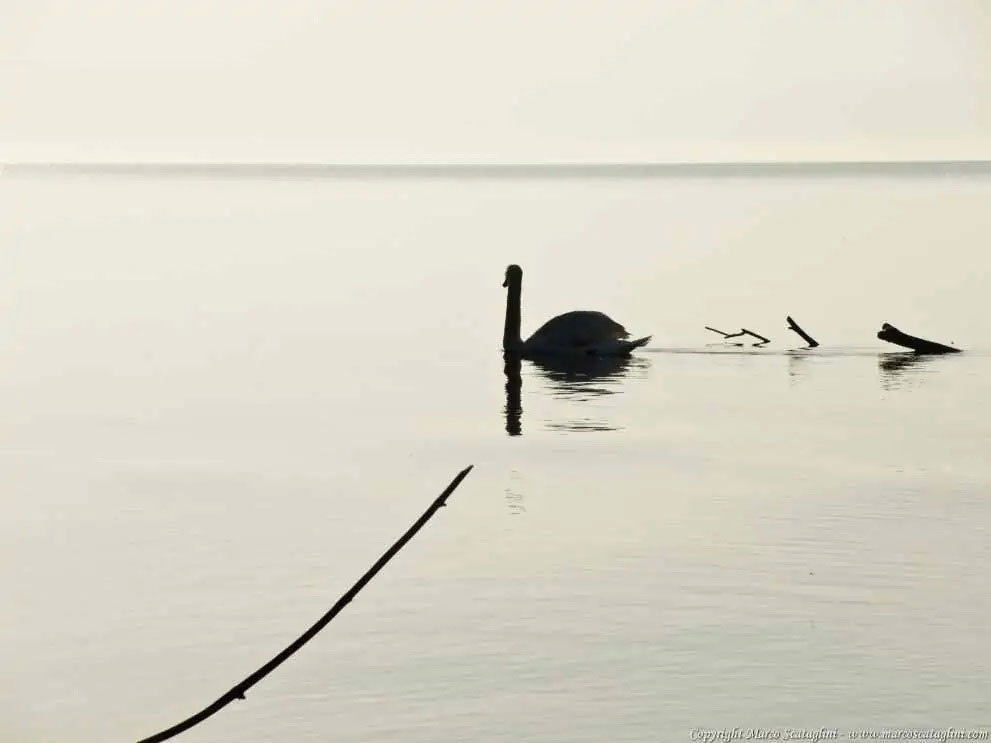 SLOW PHOTOGRAPHY