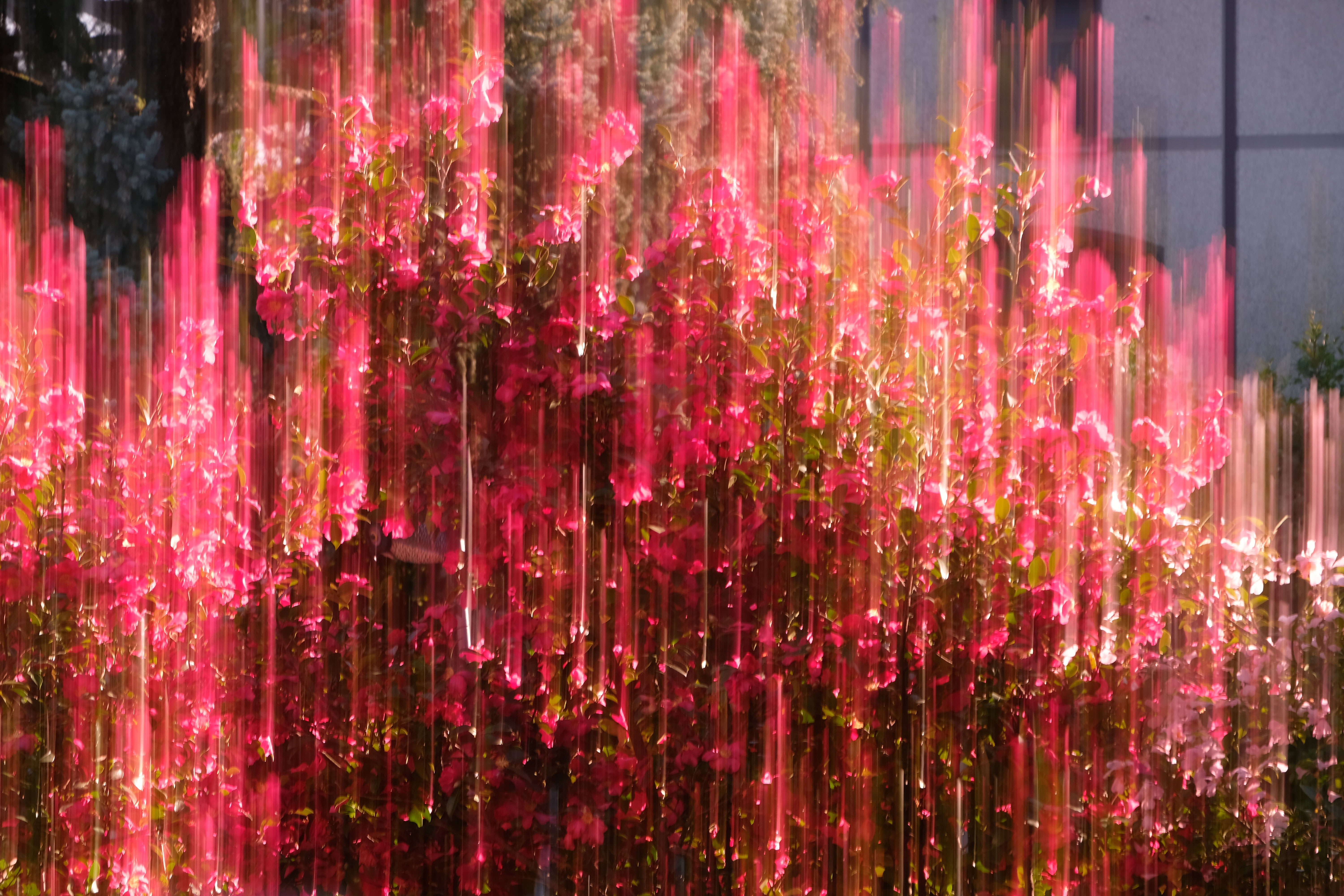 INTRODUZIONE ALLA FOTOGRAFIA ‘ICM” (INTENTIONAL CAMERA MOVEMENT)