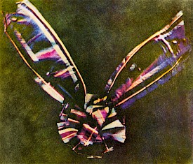 James Maxwell